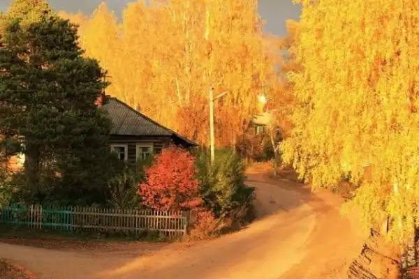 Картинки.
