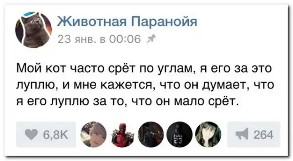 комментарии из социальных сетей.