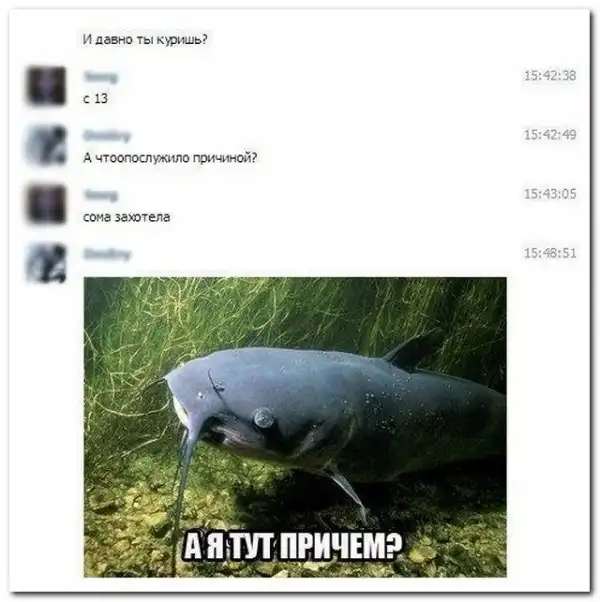 комментарии из социальных сетей.