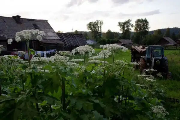 Деревня на снимках Нади Саблин
