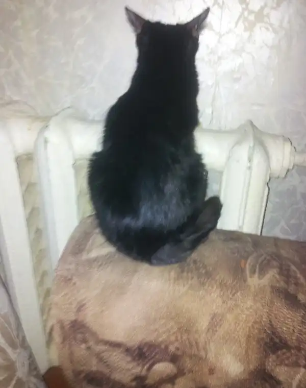 Обида, на которую можно ответить только местью Обида, на которую можно ответить только местью