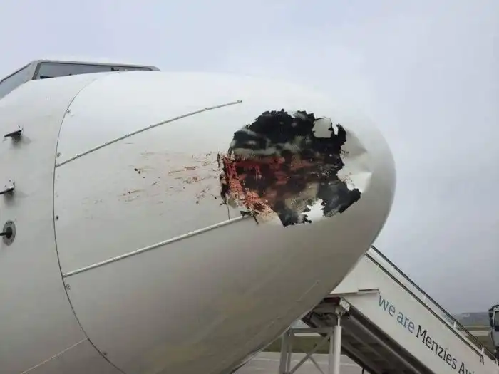 Последствия столкновения самолета со стаей птиц