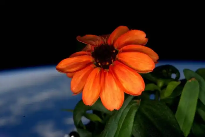 Фотографии, сделанные с борта МКС, американским астронавтом Скоттом Келли