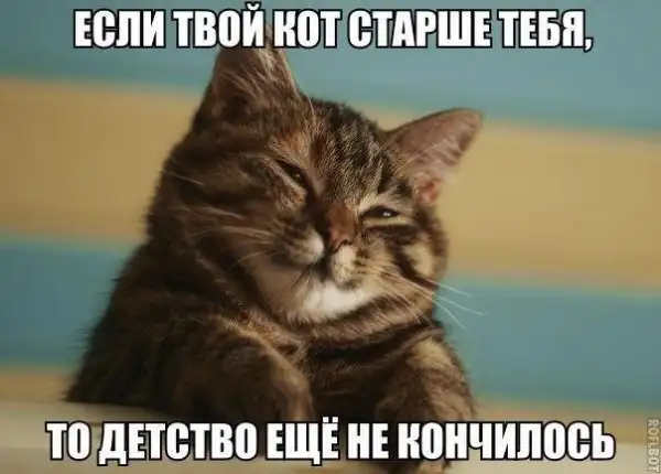 Такой вот ахалай-махалай