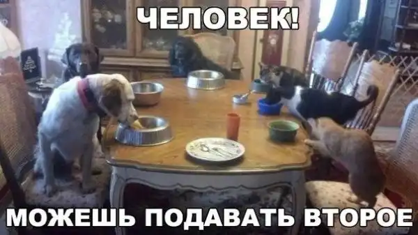 Такой вот ахалай-махалай