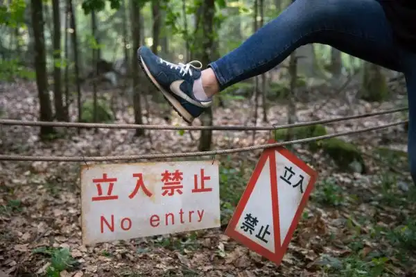 Аокигахара — лес самоубийц в Японии