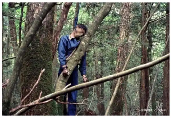 Аокигахара — лес самоубийц в Японии