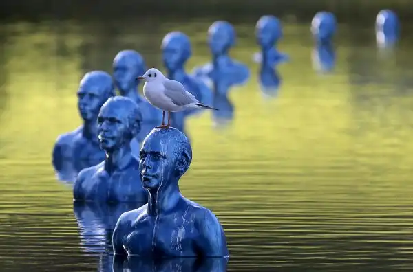 Фотокарточки