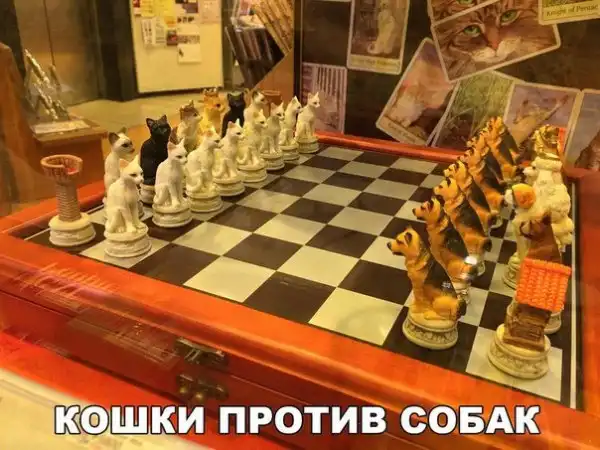 Позитивный пост+42