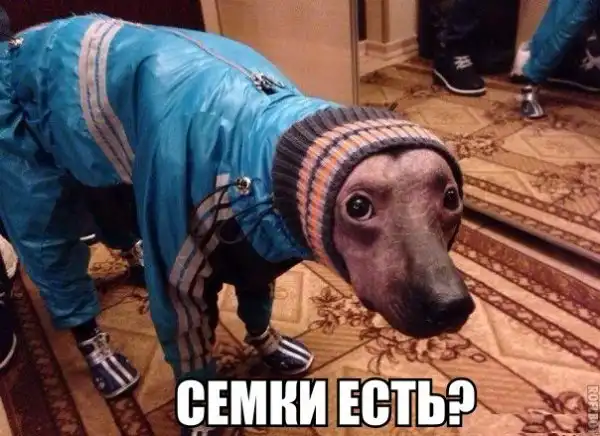 Позитивный пост+45