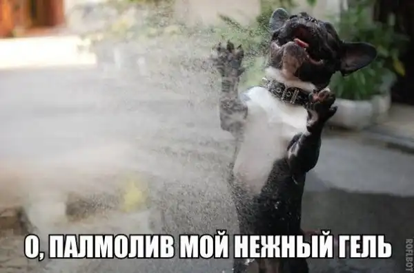 Позитивный пост+45