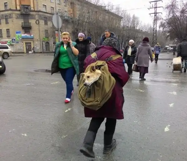 Чудики из социальных сетей