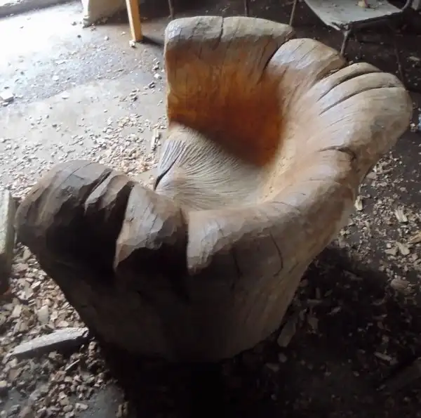 Потрясающее кресло, вырезанное из цельного дубового пня