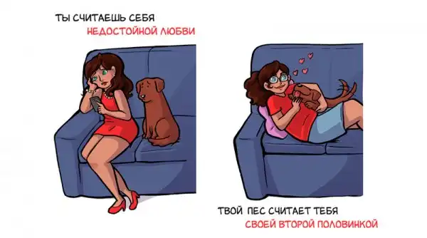 11 примеров того, как собаки смотрят на своих хозяев