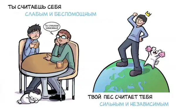 11 примеров того, как собаки смотрят на своих хозяев