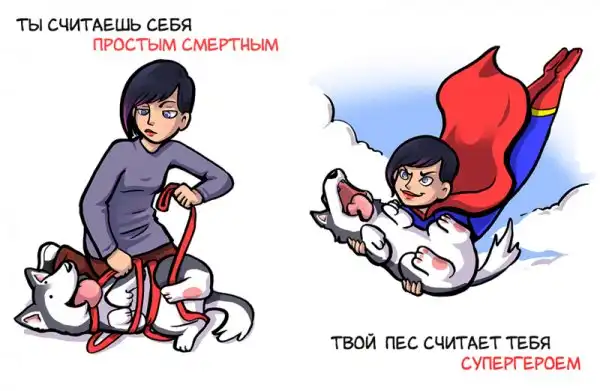 11 примеров того, как собаки смотрят на своих хозяев