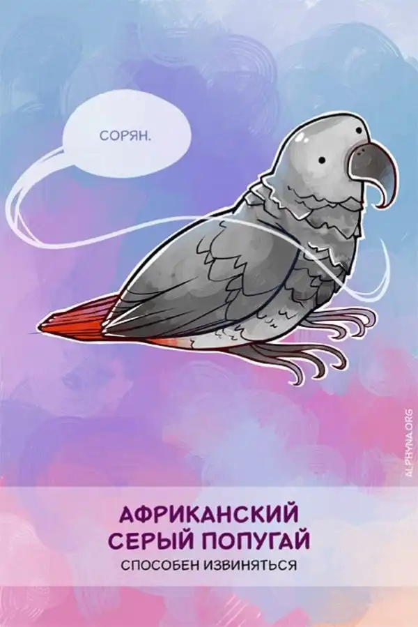 Умные зверюшки