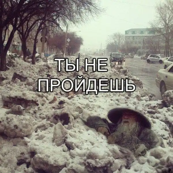 Весна опять пришла Весна опять пришла