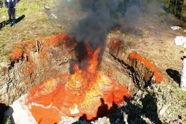 Уничтожение четырех тонн красной икры на Камчатке