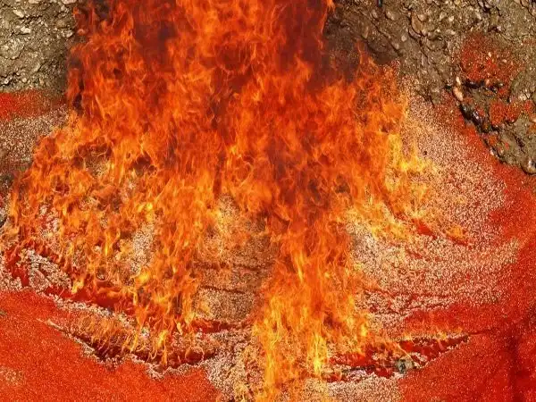 Уничтожение четырех тонн красной икры на Камчатке