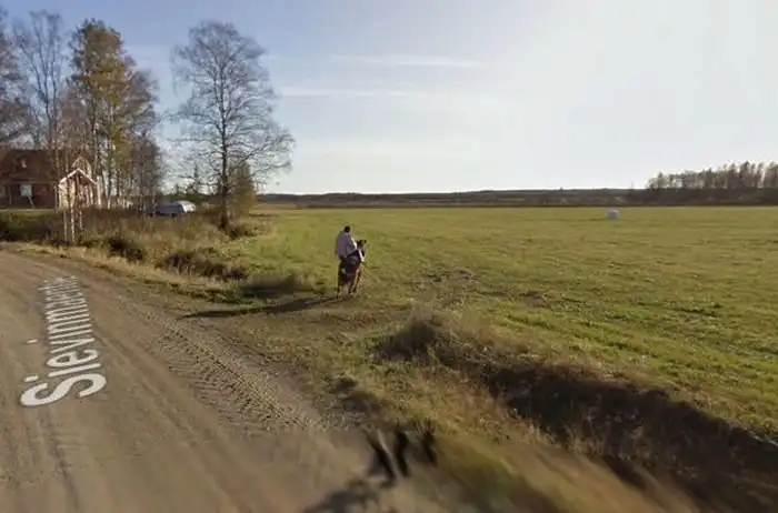 Последствия встречи лошади с машиной Google Street View
