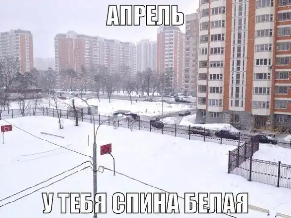 Позитивный пост+48