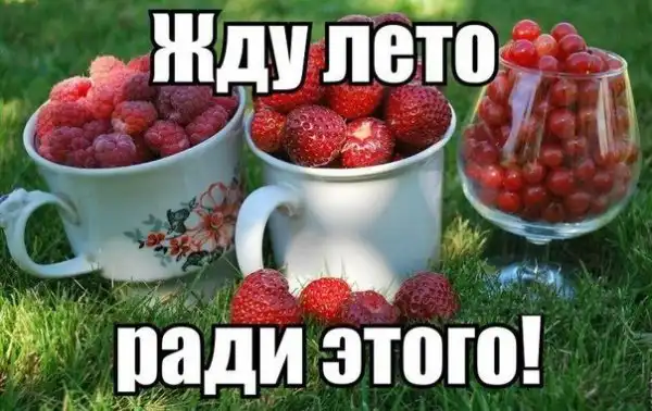 Позитивный пост+48