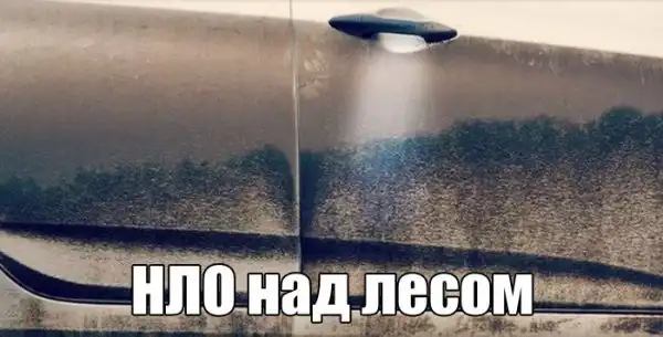 Картинки.