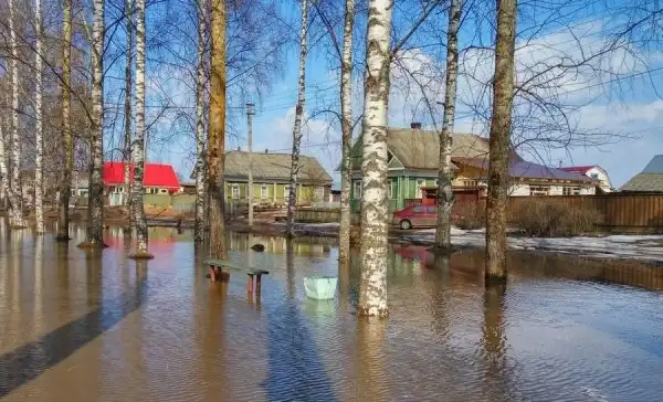 Картинки.
