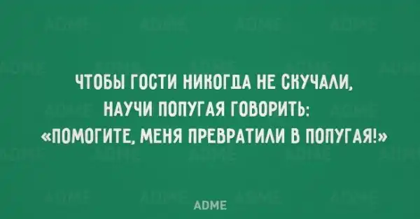 22 жизненные открытки для тех, кто устал от всей этой суеты