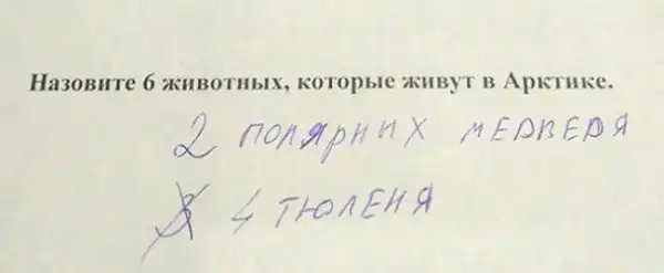 Позитивный пост+72
