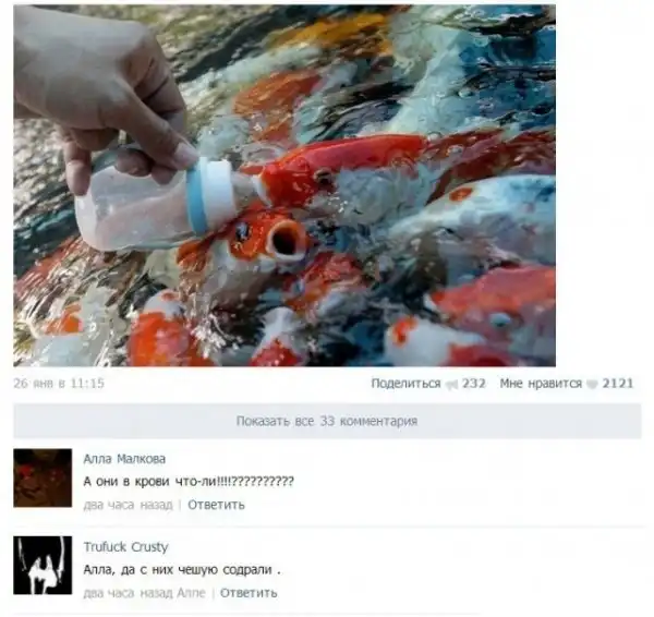 Смешные комментарии из социальных сетей