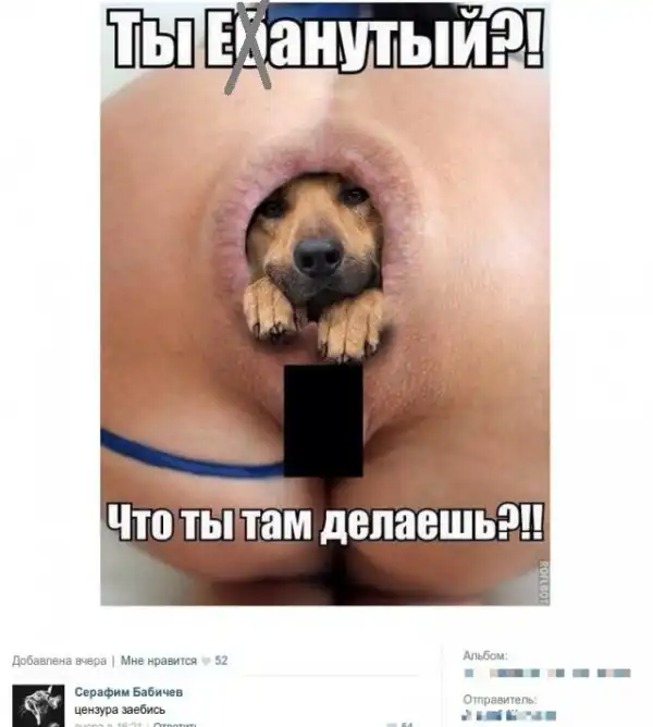 Смешные комментарии из социальных сетей