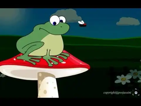 Frog Eat Flies