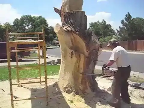 Мужик превратил засохший ствол дерева в удивительную скульптуру