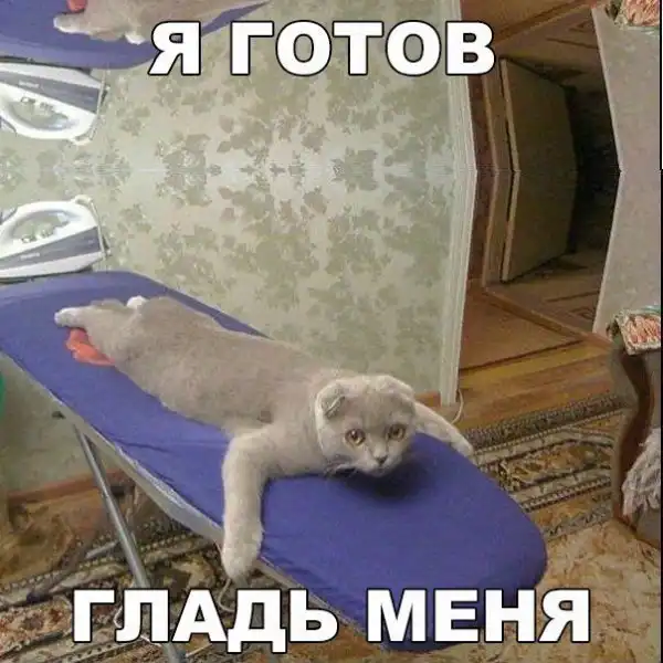 Позитивный пост+126