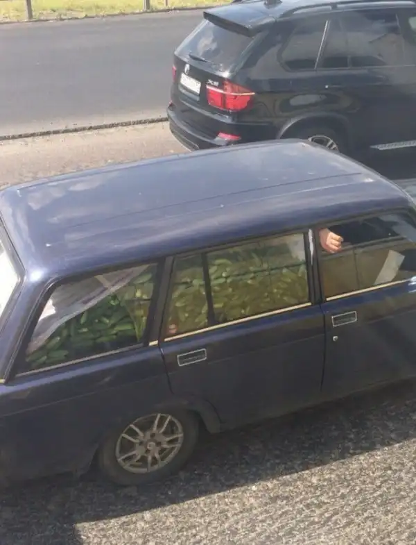 Свежая подборка автоприколов