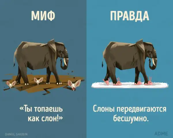 13 мифов о животных, в которые мы до сих пор верим