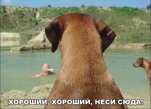 Позитивный пост+137
