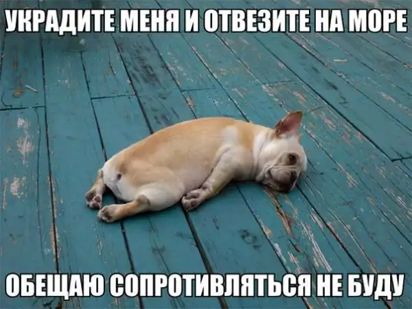 Позитивный пост+137