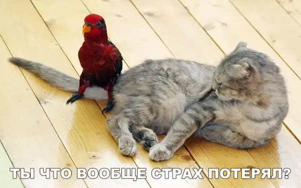 Позитивный пост+146