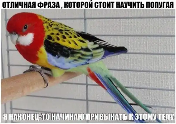 Позитивный пост+146