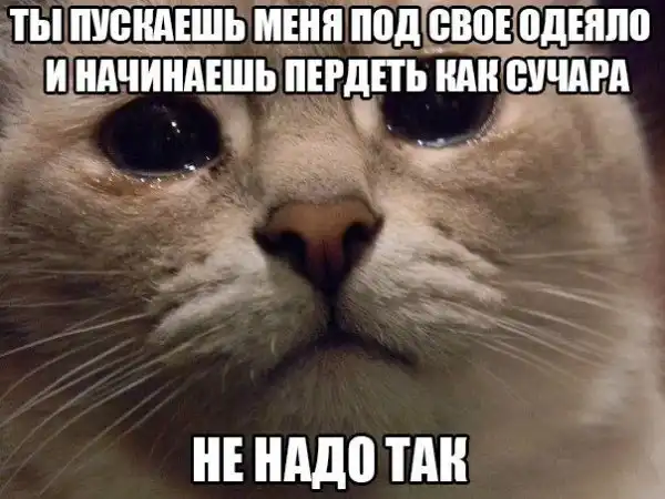 Подборонька