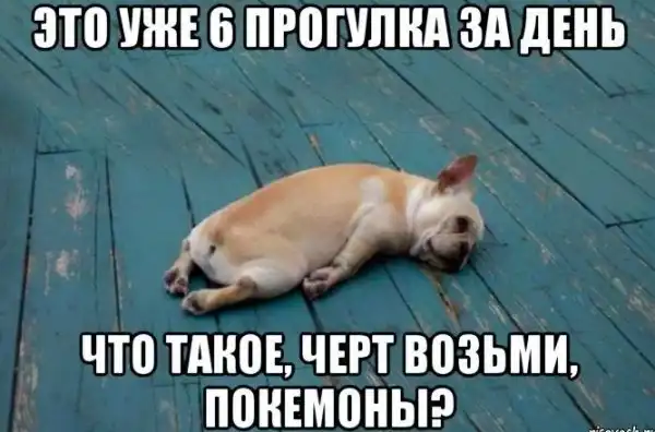 30 сумасшедших причин, ради которых стоит начать играть в "Pokemon Go" 30 сумасшедших причин, ради которых стоит начать играть в "Pokemon Go"