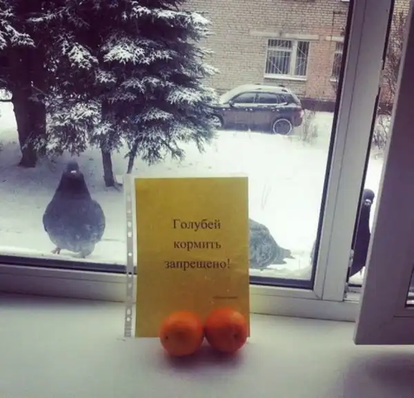 Суровые запреты, которые лучше не нарушать