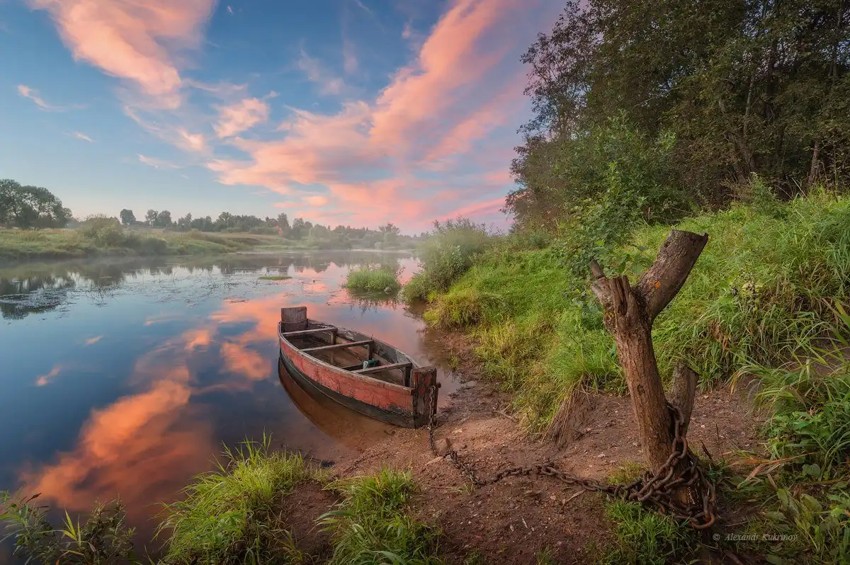 Uz логотип. хорошее корам. чорвачилик моллари. изображение коровы. Tom courtenay.