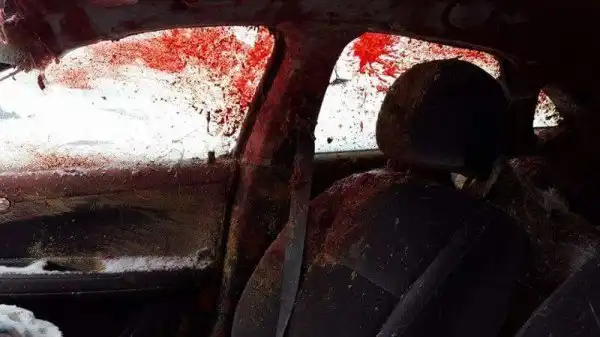 Когда олень во время столкновения пробивает лобовое стекло