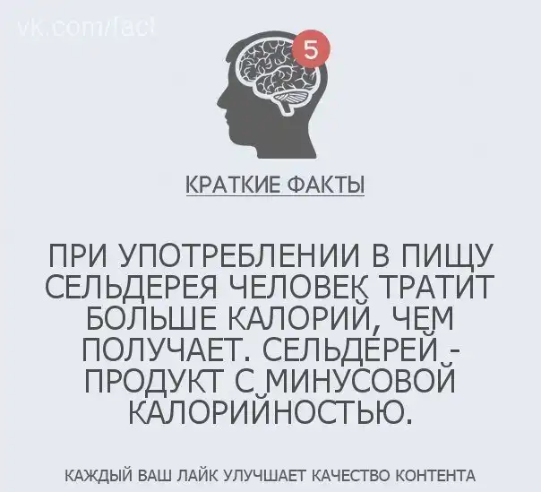 Вопросы детям на кругозор. Саморазвитие. Культурный кругозор ребенка. Монография кругозор. Расширить кругозор.