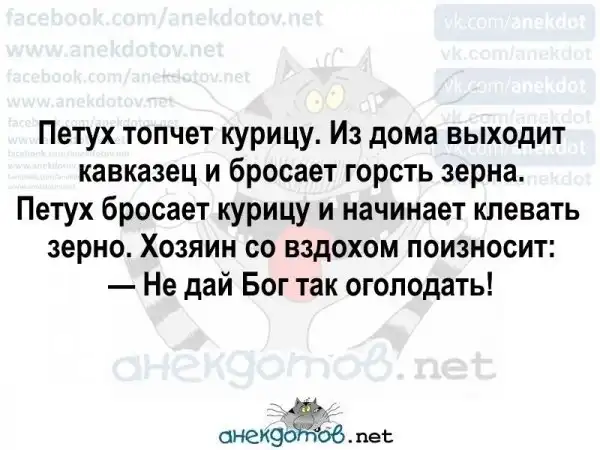 Анекдоты - лучшее от "анекдотовнет"