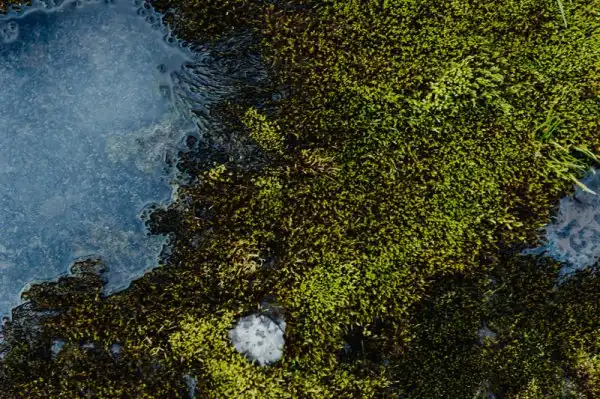 Глазами фотографа: нереальные "природные текстуры" Исландии